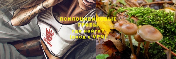 твердый Касимов