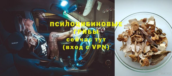 твердый Касимов