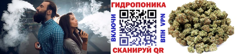 Купить закладки  Саянск  Бошки Шишки семена 